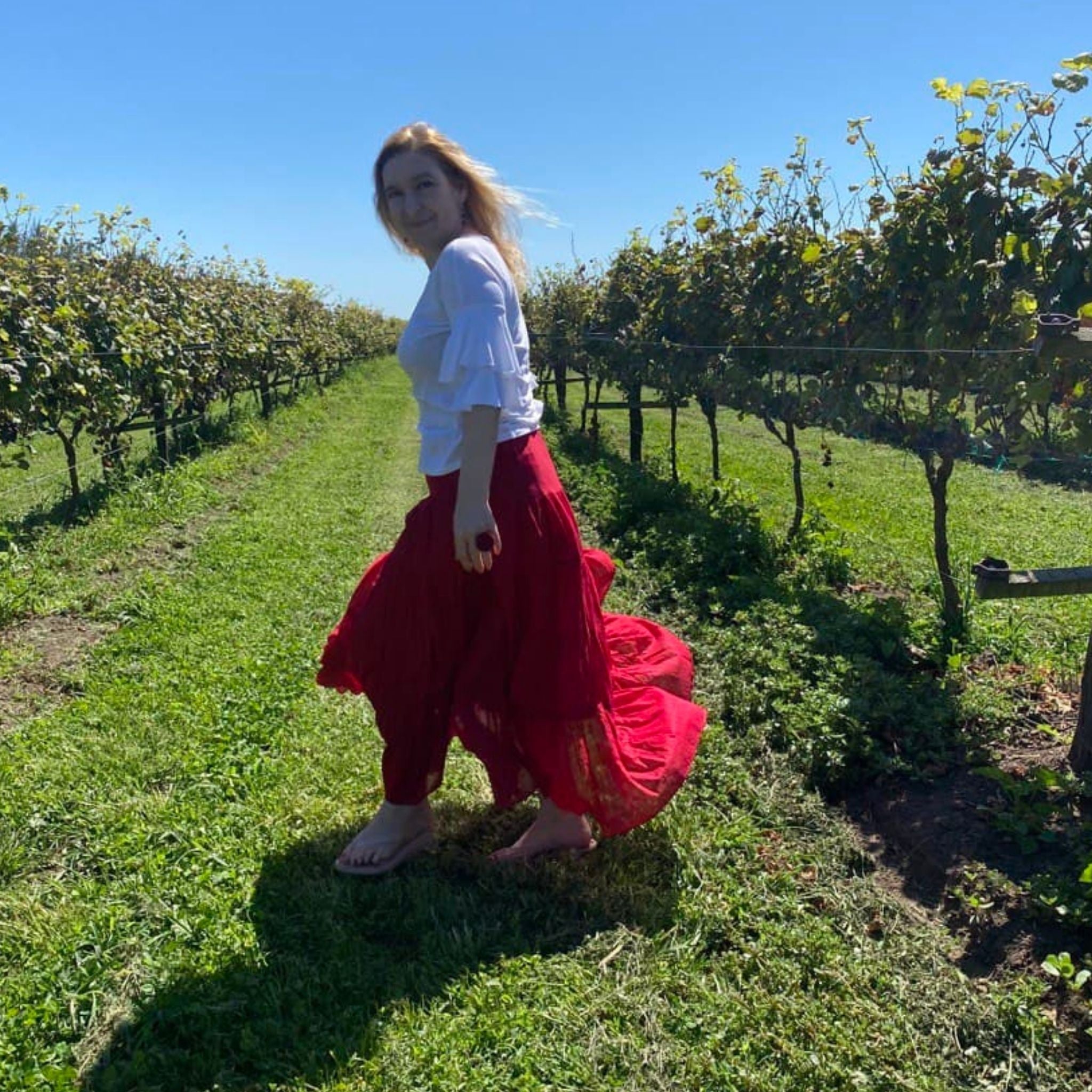 Vineyard in Buenos Aires