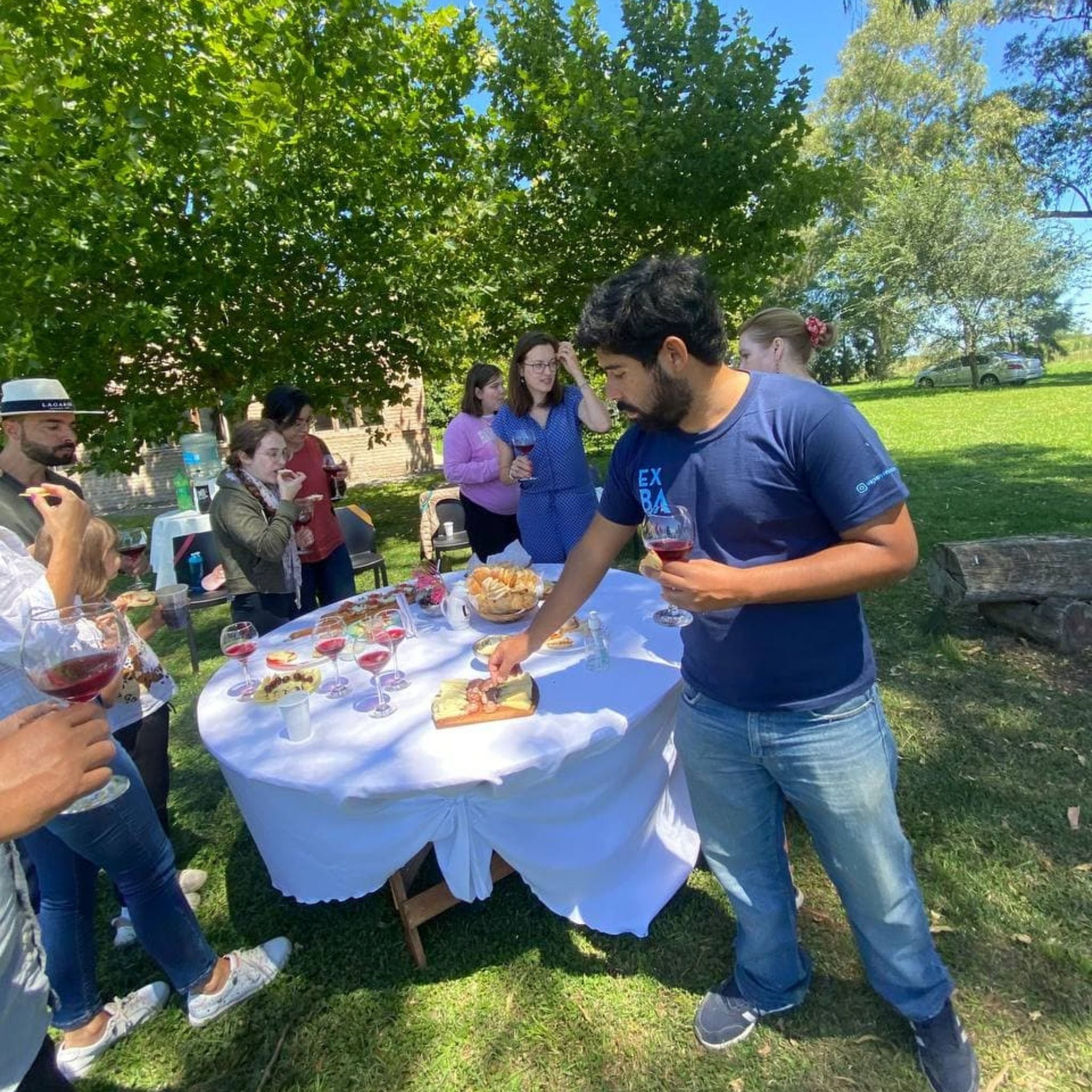 Vineyard in Buenos Aires