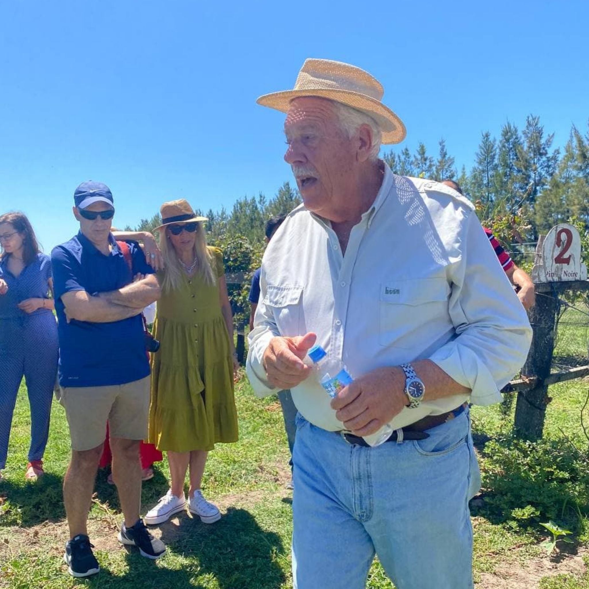 Vineyard in Buenos Aires