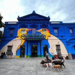 Recoleta in Buenos Aires