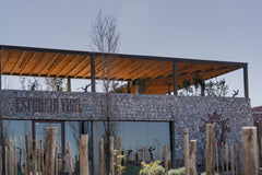 Vineyard in Buenos Aires, Enjoy delicious wine and food