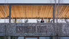 Vineyard in Buenos Aires, Enjoy delicious wine and food