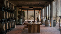 Vineyard in Buenos Aires, Enjoy delicious wine and food