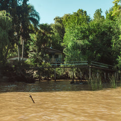 Tigre Delta