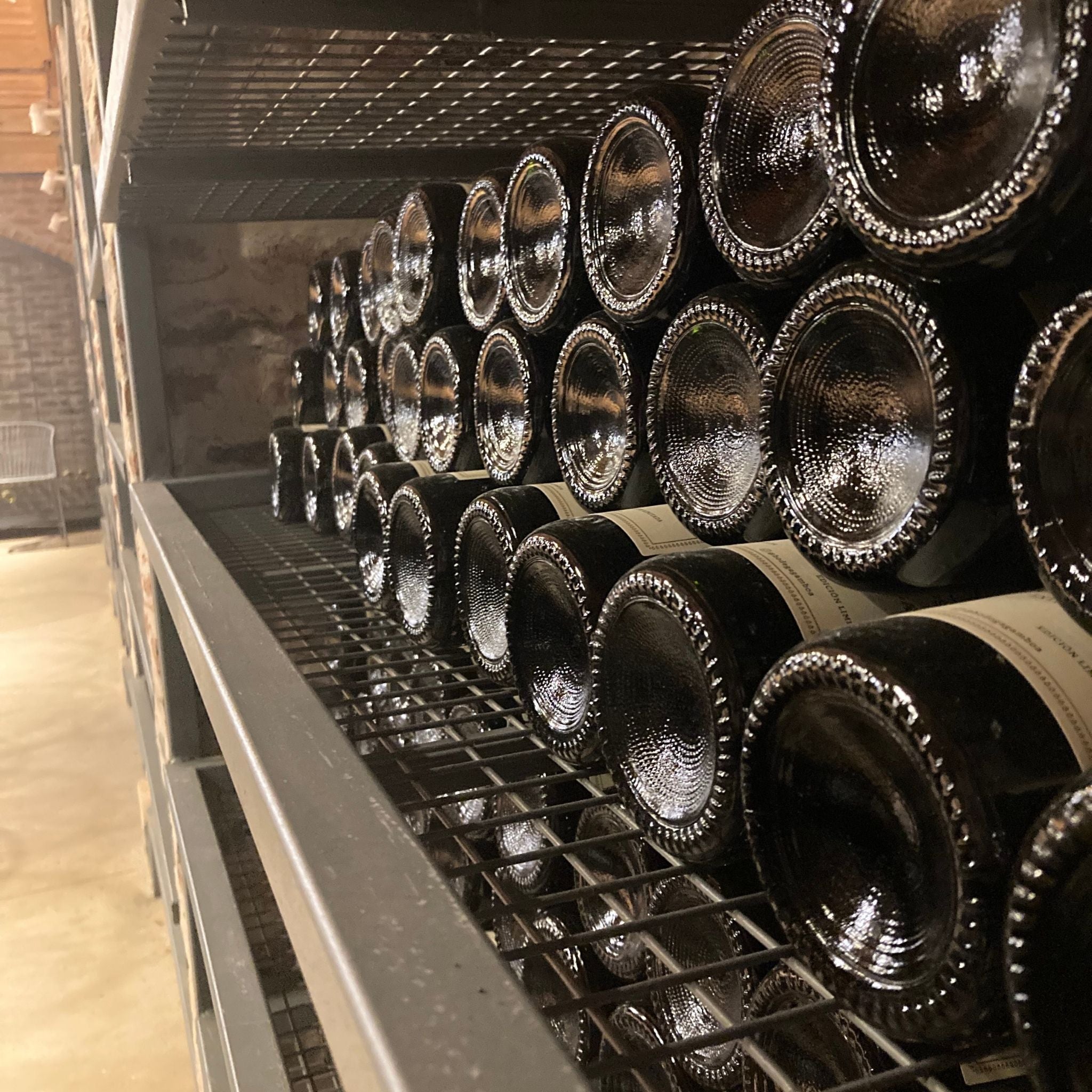 Vineyard in Buenos Aires