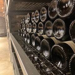 Vineyard in Buenos Aires