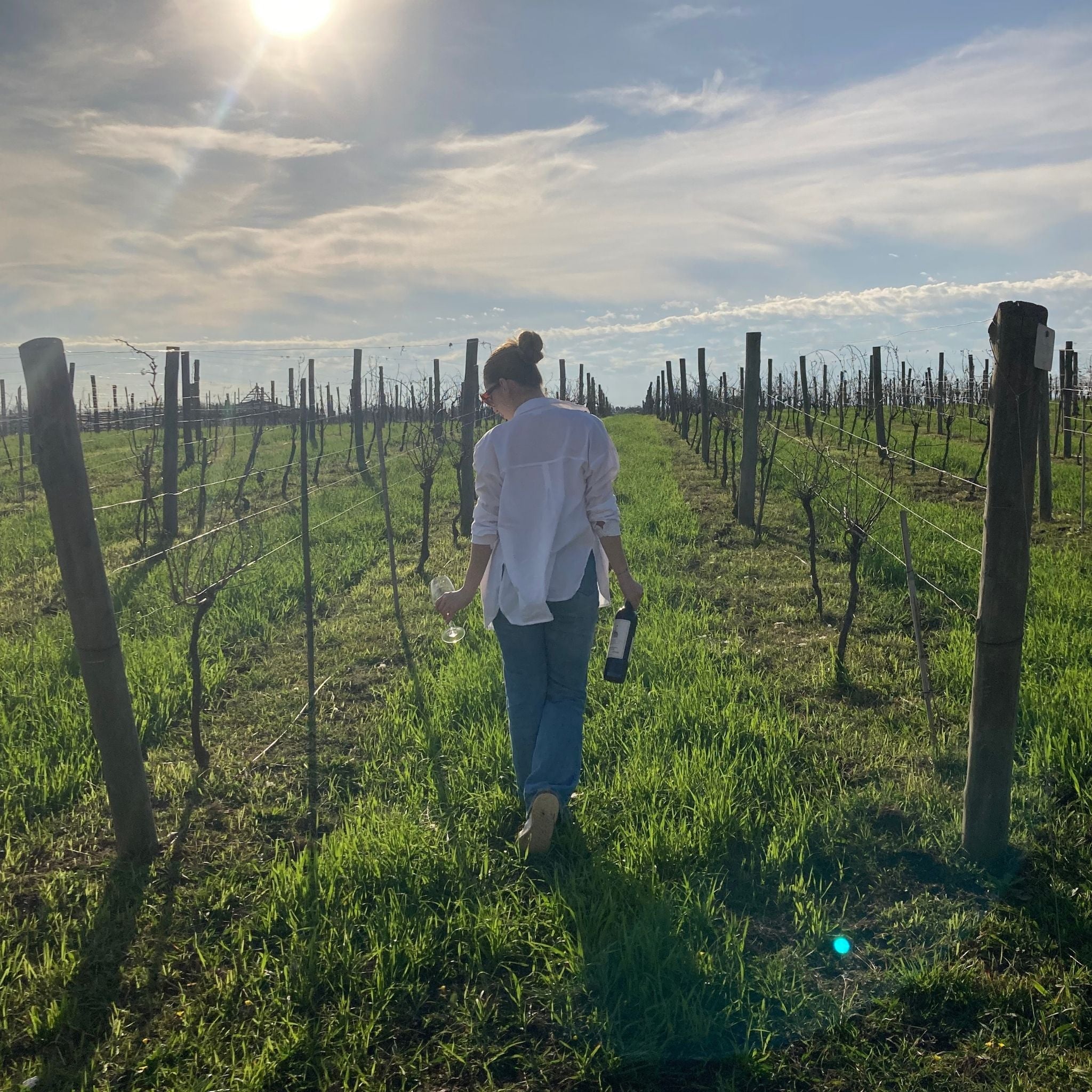 Vineyard in Buenos Aires