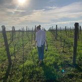 Vineyard in Buenos Aires