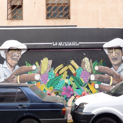 Explore Buenos Aires: Custom City Tour