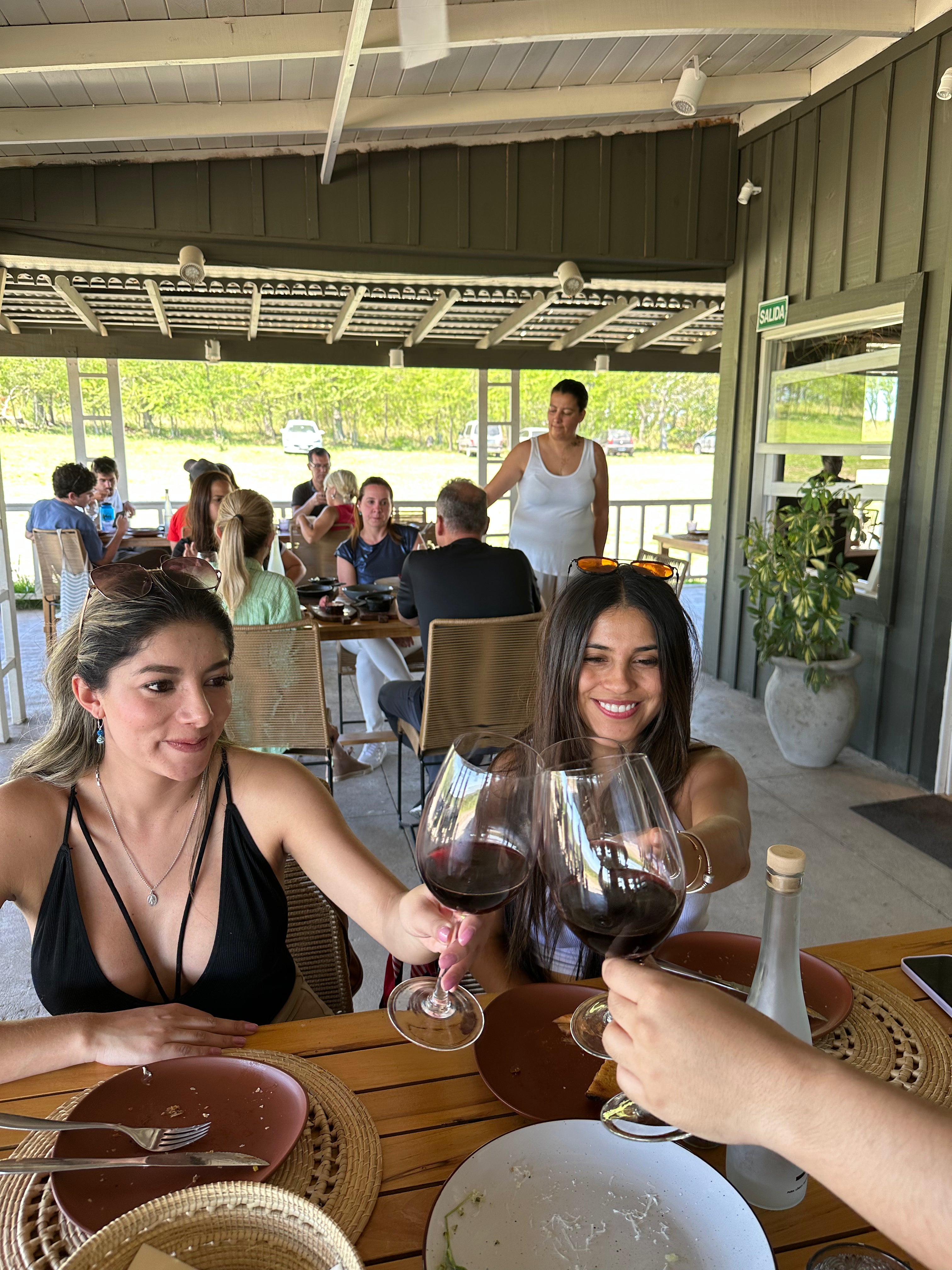 Vineyard in Buenos Aires