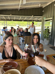 Vineyard in Buenos Aires