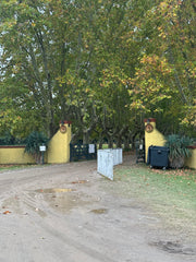 Experiencia de Campo de Día en Estancia
