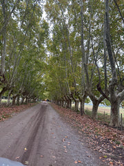 Experiencia de Campo de Día en Estancia