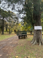 Experiencia de Campo de Día en Estancia