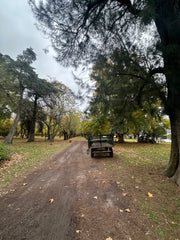 Experiencia de Campo de Día en Estancia