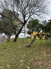 Experiencia de Campo de Día en Estancia