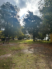 Experiencia de Campo de Día en Estancia