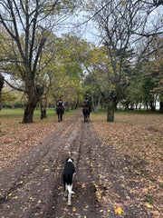 Experiencia de Campo de Día en Estancia