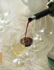 Degustação de vinhos premium com almoço ou tapas.
