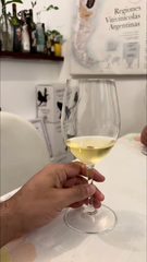 Degustação de vinhos premium com almoço ou tapas.