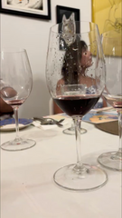 Degustação de vinhos premium com almoço ou tapas.