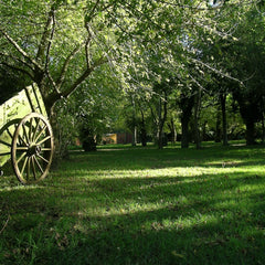 Dia de Estancia Experiência de Campo