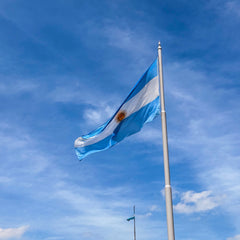 Explore Buenos Aires: City Tour Personalizado