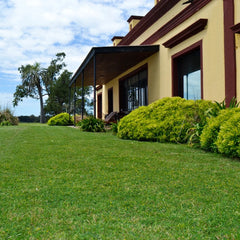 Dia de Estancia Experiência de Campo