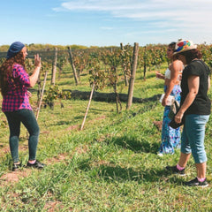 Vinhedo em Buenos Aires, desfrute de deliciosos vinhos e comidas