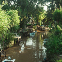 Aventura no Delta do Tigre