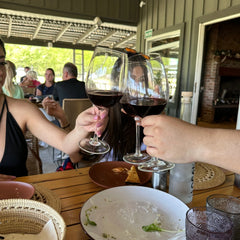 Vinhedo em Buenos Aires, desfrute de deliciosos vinhos e comidas
