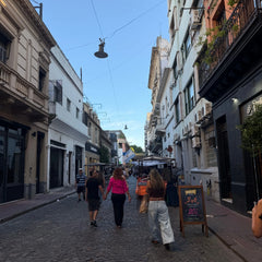 Explore Buenos Aires: City Tour Personalizado