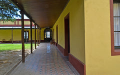 Experiencia de Campo de Día en Estancia