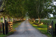 Experiencia de Campo de Día en Estancia