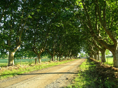 Experiencia de Campo de Día en Estancia