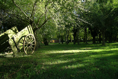 Experiencia de Campo de Día en Estancia