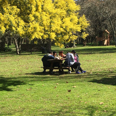 Experiencia de Campo de Día en Estancia