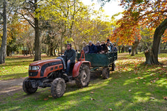 Experiencia de Campo de Día en Estancia