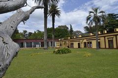 Experiencia de Campo de Día en Estancia