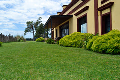 Experiencia de Campo de Día en Estancia