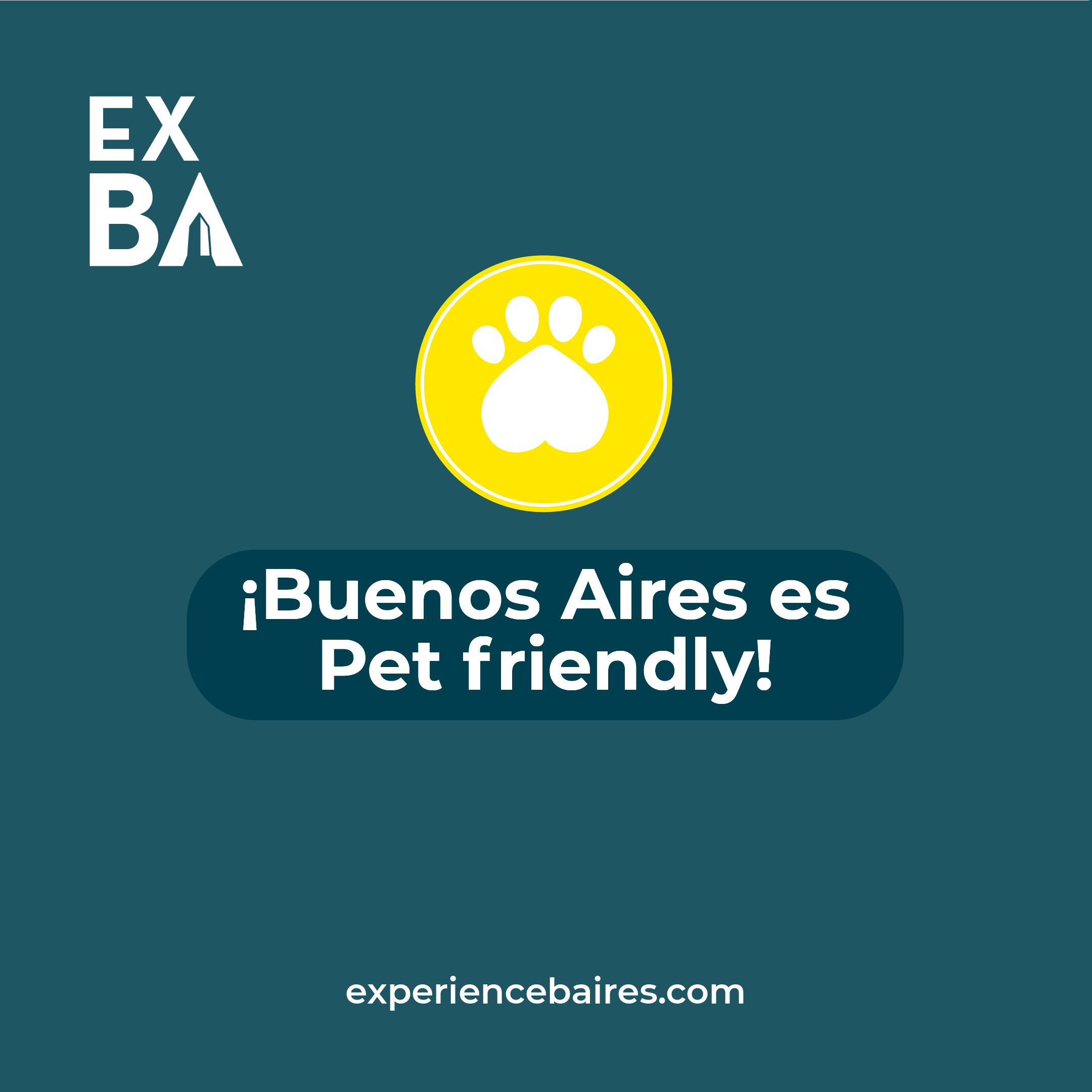 You are currently viewing Turismo Pet friendly en CABA
