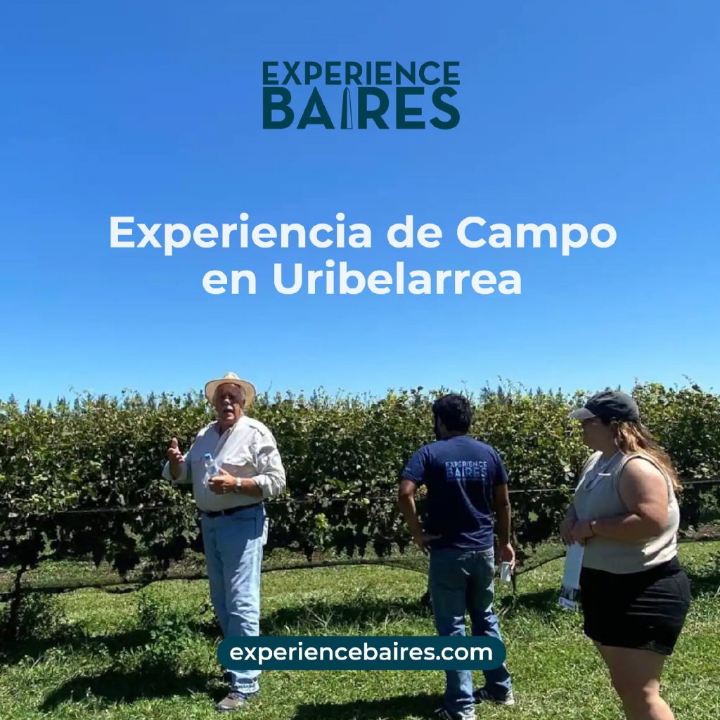 Read more about the article Uribelarrea: una experiencia de campo