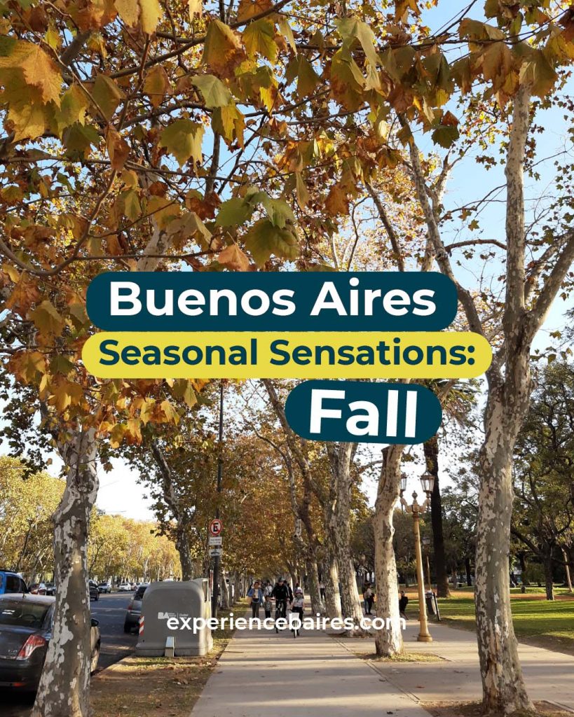 Read more about the article Seasonal Sensations: Fall 🍁