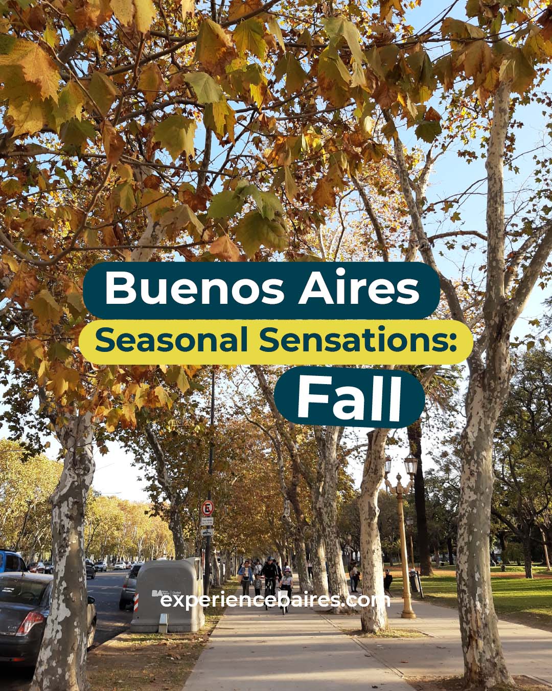 You are currently viewing Seasonal Sensations: Fall 🍁