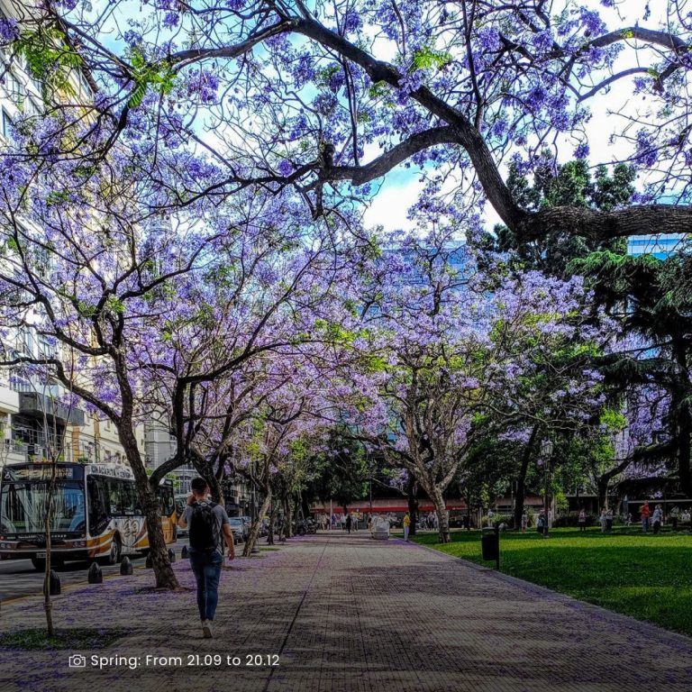 Read more about the article Springtime Splendor in Buenos Aires