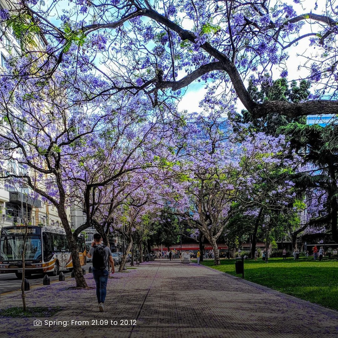 You are currently viewing Springtime Splendor in Buenos Aires