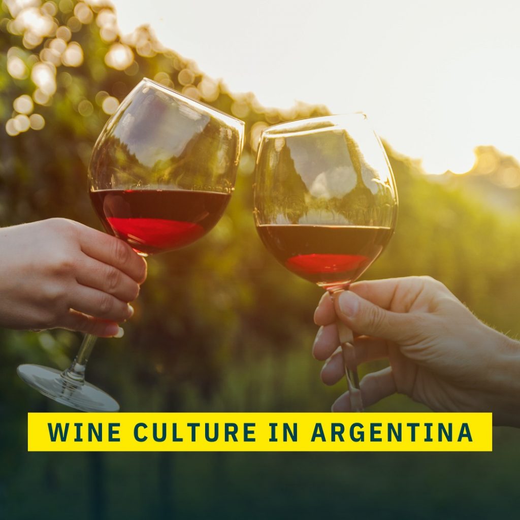 Read more about the article Argentina’s Vinicultural Tapestry