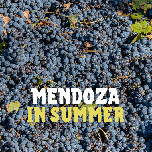 Mendoza Argentina in Summer: What to Do and See in 2025