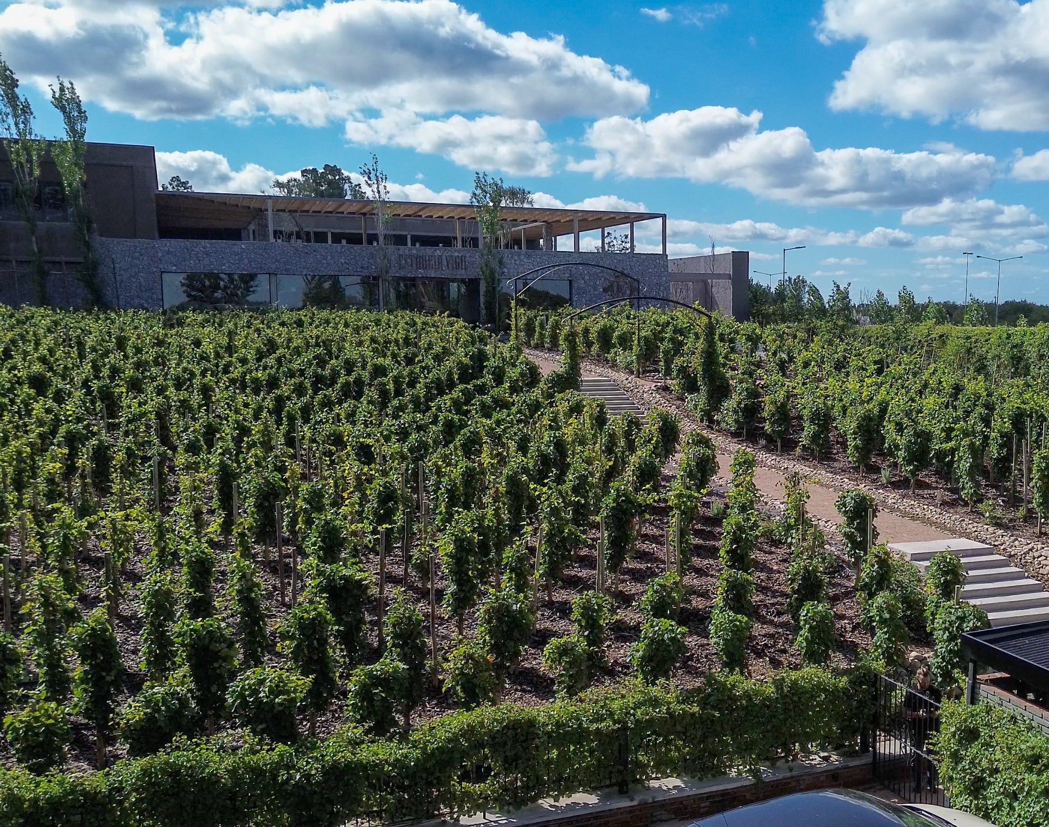 Vineyard in Buenos Aires, Enjoy delicious wine and food