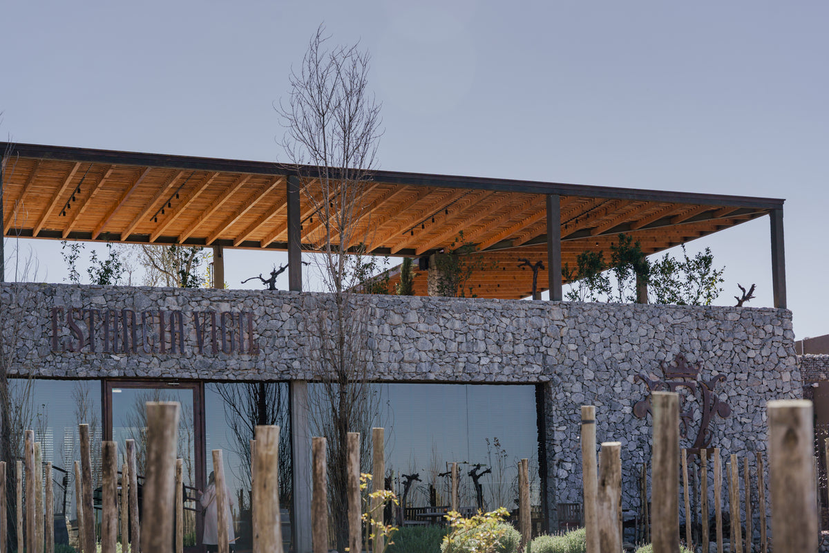Vineyard in Buenos Aires, Enjoy delicious wine and food